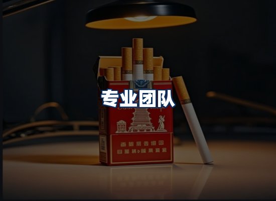 专业团队
